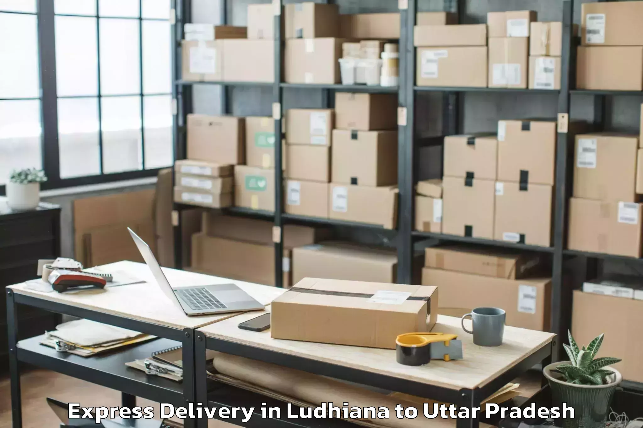 Book Ludhiana to Manjhanpur Express Delivery Online